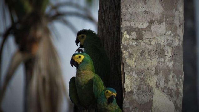 雅庫瑪瑪湖之旅 + 日落|運動釣魚