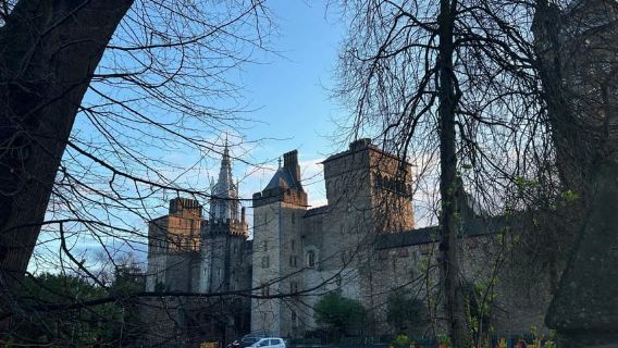 Cardiff: City Highlights Guided Walking Tour