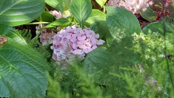 吉林省自然博物館+吉林省東北虎園+百花園一日遊