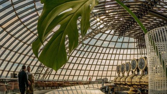 Reykjavik: Perlan - Esperienza delle meraviglie dell'Islanda