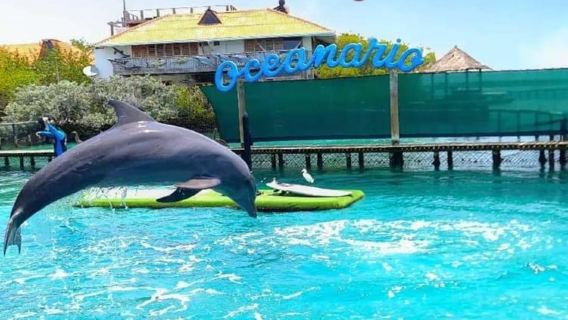 Cartagena: Oceanario de las Islas del Rosario con 6 paradas, almuerzo y snorkel