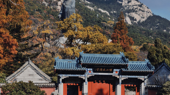 [4박5일] 산과 바다를 한눈에 · 즐거운 칭다오 여행 - 극지 해양동물의 매력과 라오산 풍경