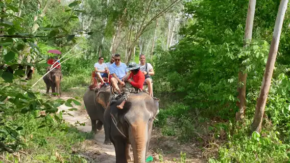 芭達雅沙發里大象樂園【飯店接駁|超多項目可選|芭達雅爆火