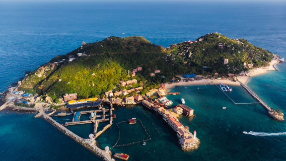 【官方接待】分界洲島5A景區•珊瑚礁浮潛•古村落深潛•佛國深潛【可選組合】