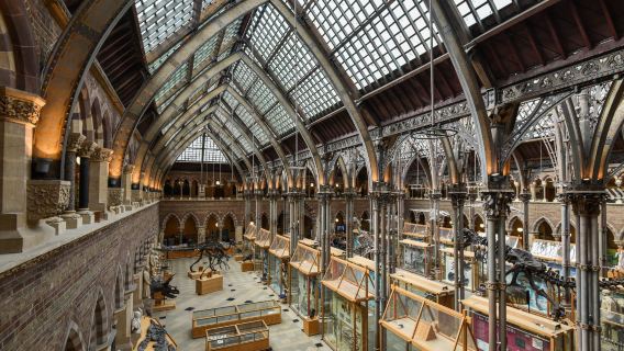 London-Oxford [1-day tour of Oxford University/Harry Potter fans' delight] [Chinese-speaking driver]