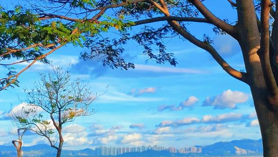 深圳一日遊｜私家小團專車，解鎖科技、藝術與海岸線，打卡地標