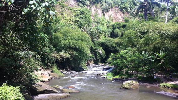 Excursión de un día con rafting en el río Ayung y ATV Kuber para dos personas en Bali