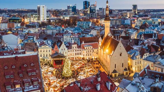 tour di un giorno in traghetto andata e ritorno da Helsinki a Tallinn in Finlandia [tour in inglese]