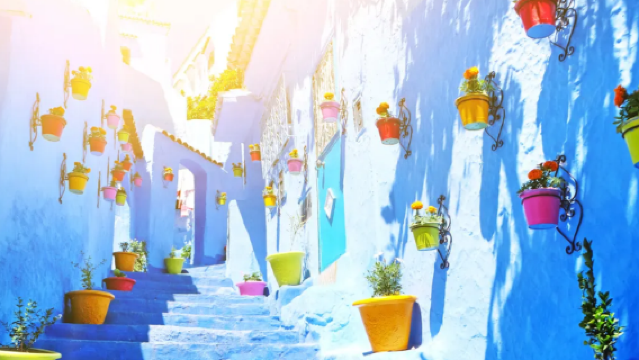 摩洛哥全境|商務考察翻譯|展會翻譯|旅遊陪同|醫學翻譯|名校導覽|中文／英文|如需其他語言（請諮詢客戶服務支援）