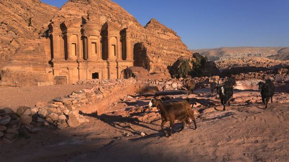 約旦全境 展會翻譯 旅遊導遊 地陪 地接（可私人訂製）