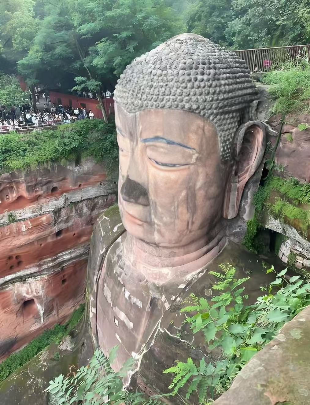 Leshan Giant Buddha + Huanglongxi Town Private Charter Day Tour