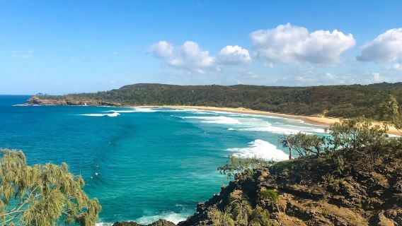 努沙國家公園+陽光海岸+布里斯本市政廳+故事橋+南岸公園※