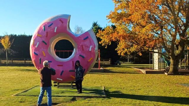 Lyttelton: Excursión por la costa, Castle Hill y el interior de Canterbury