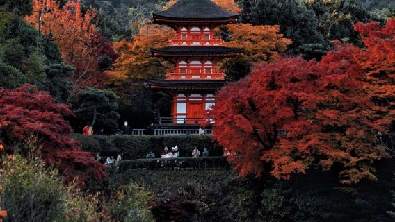 Kyoto|Parco di Nara + Sannenzaka/Ninenzaka + Tempio di Kiyomizu-dera + Santuario di Fushimi Inari-taisha|noleggio con conducente esclusivo per tour giornaliero