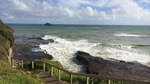 New Zealand Auckland Muriwai Beach customizable private charter for North and South Islands