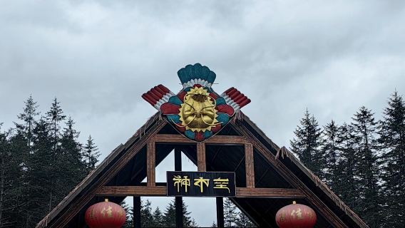 Eendaagse tour met gecharterde autovervoer naar de steenhouwwerken van Huayan Grot in Ziyang en Anyue County met Engelssprekende service