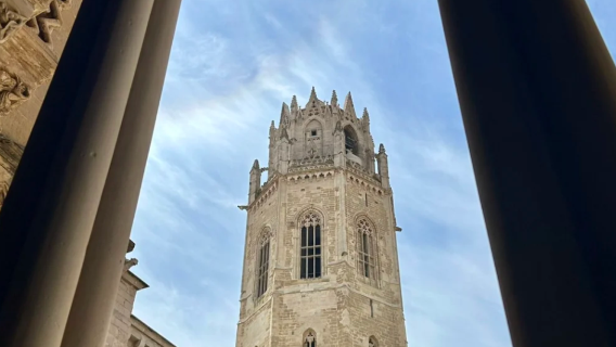 1-Day Tour in Mallorca, Spain [Transfer Service & Adjustable Itinerary]