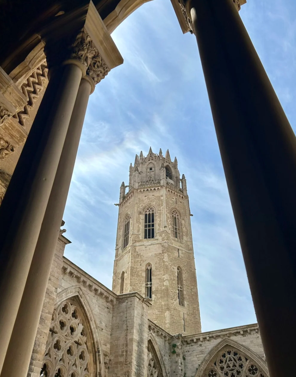 Lawatan Sehari di Mallorca, Sepanyol [Perkhidmatan Pengangkutan & Itinerari Fleksibel]