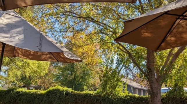 美國鳳凰城-周邊沙漠植物園等-沙漠與城市風光線-包車-精選