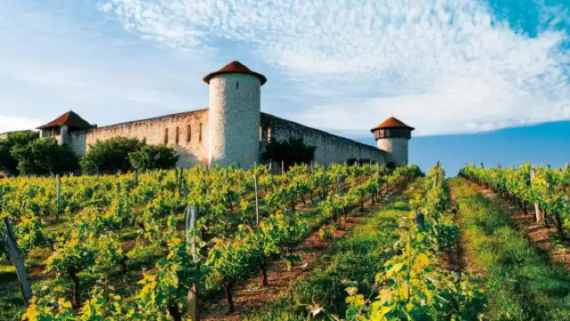 Excursion d'une journée en voiture avec chauffeur dans les vignobles de Porto en France - Réservation de vignoble incluse [Circuit personnalisé en chinois avec voiture et chauffeur]