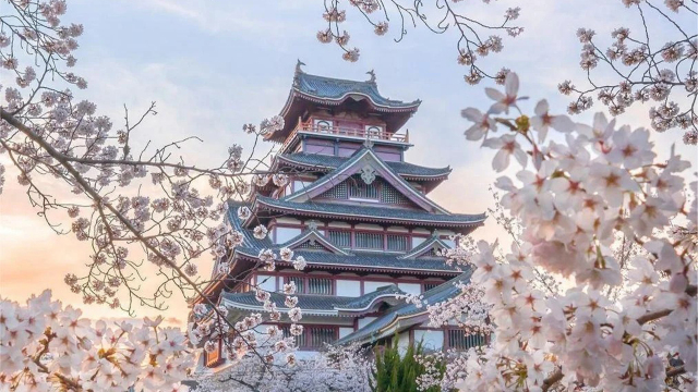 贈阿蘇火山接駁車：日本熊本城+阿蘇山+草千里 櫻花季一日遊