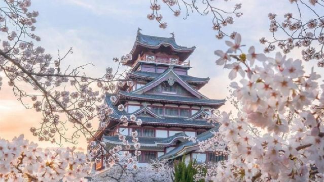 Free Aso Volcano Shuttle Bus: Kumamoto Castle, Mt. Aso, and Kusasenri Day Trip