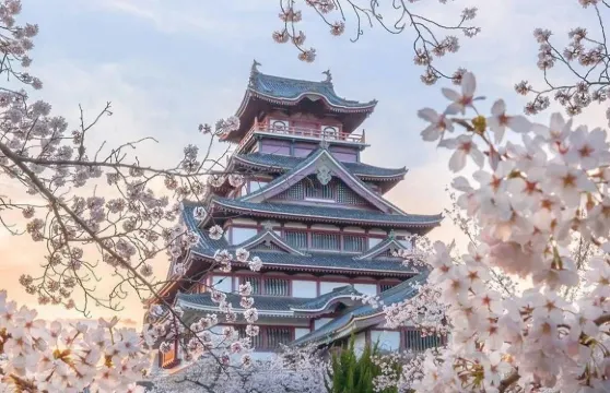 贈阿蘇火山接駁車：日本熊本城+阿蘇山+草千里 櫻花季一日遊