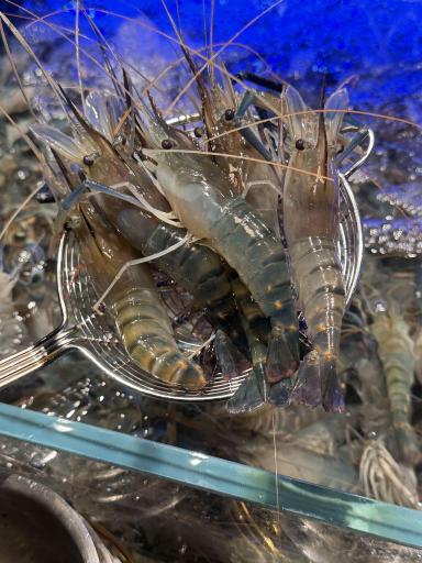 Chengdu · Yong Rong Hui Hidup Lobster Makan Prasmanan | Lobster Boston Hidup Tak Terbatas, Pesta Mak