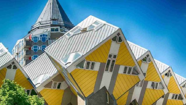 荷蘭阿姆斯特丹金德代克風車群 + 鹿特丹中文包車一日遊