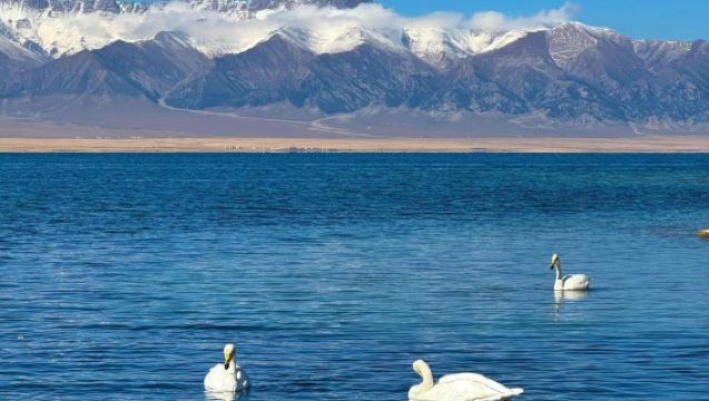 [Pemandangan Indah Tasik] Lawatan Sehari Kongsi Kenderaan di Tasik Sayram · Kumpulan 2-6 Orang, Lebih Bebas Bersiar-siar