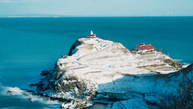 บริการรับส่งสนามบินฮอกไกโด/นาโกย่า/คิวชู/ฟุกุโอกะ|รับส่งจากนิวชิโตสึไปซัปโปโร/นิเซโกะ/รุสึตสึ/โฮชิโนะ/ฟุราโนะ/ทะเลสาบโทยะ|บริการรับส่งในเขตจูบุ/ฟุกุโอกะ/นะฮะ