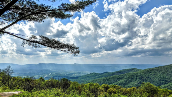 美國華盛頓來回-仙納度國家公園一日遊【中文包車自由行】