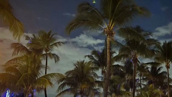 Amerika Miami pergi-balik - Key West - Jambatan Tujuh Batu - 12H - Perjalanan Eksklusif Bahasa Cina