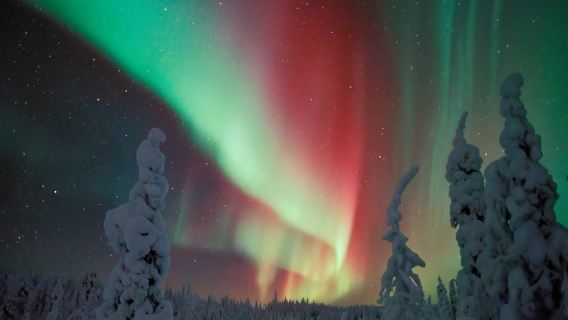 Polar Night Snowshoe Trek