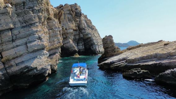 Cartagena: Itinerario guidato in barca per l'Isola de las Palomas