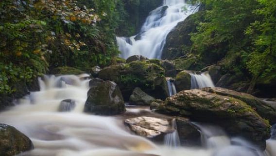 Killarney: Half-Day Tour with Lakes, Waterfall, and Castle