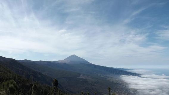 Tenerife: Teide & La Laguna (ekskursi pantai) Santa Cruz