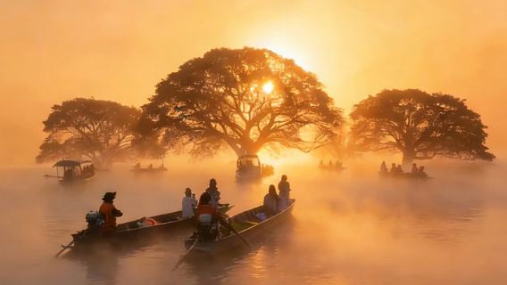 [เส้นทางคลาสสิก] เชียงใหม่ อุทยานแห่งชาติน้ำตกบัวตอง-น้ำพุเจ็ดสี + ปางช้างโชคชัย + ล่องแพไม้ไผ่ + ทัวร์ 1 วันชมต้นฝนร้อยปี