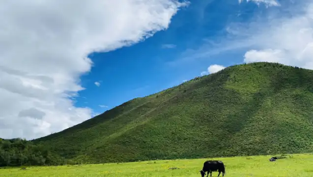 虎跳峽+香格里拉一日遊【經幡+環納帕海+回程高速+不推騎馬】
