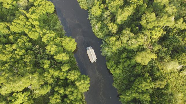 沙巴海龜苑樹林一日遊|沙巴大學|水上清真寺