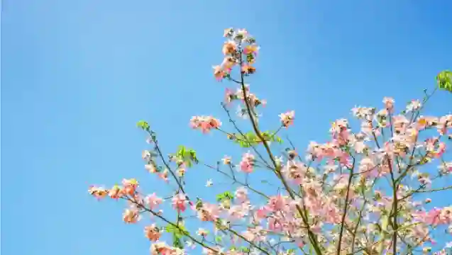 孫中山故居+景山公園+珠海漁女+圓明新園+情侶路一日遊@含票