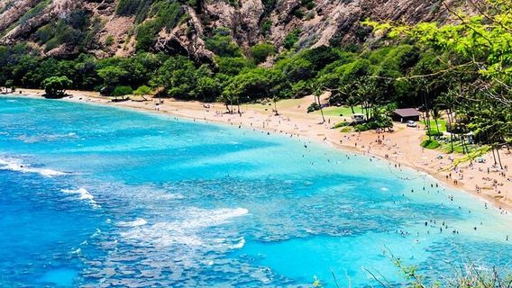 HonoluluTours