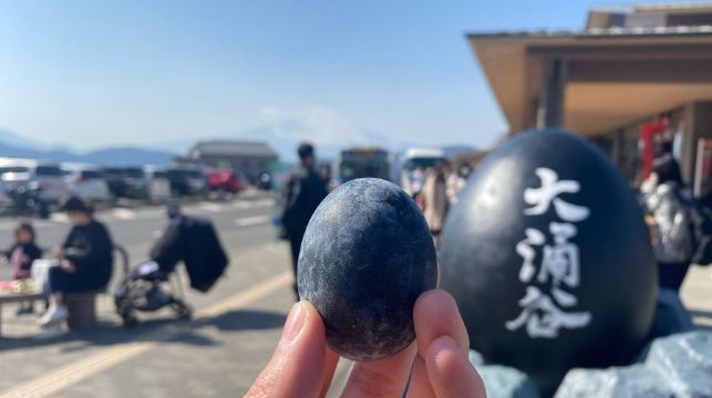 箱根大涌谷+富士山山中湖一日遊【9人小團|可選酒店接送/箱根水陸巴士|中文服務|純玩無購物】