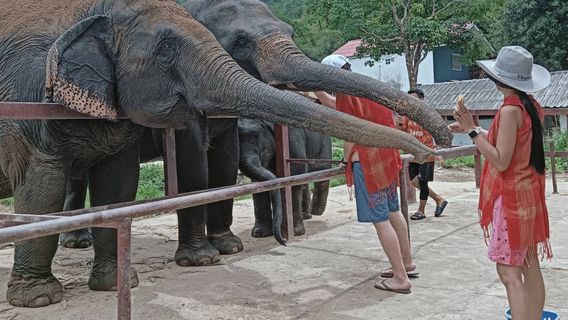 Chiang MaiTours