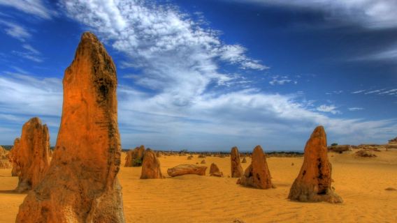 Pinnacles Desert & Caversham Wildlife Park: Tour + Sand Boarding + 4WD Adventure