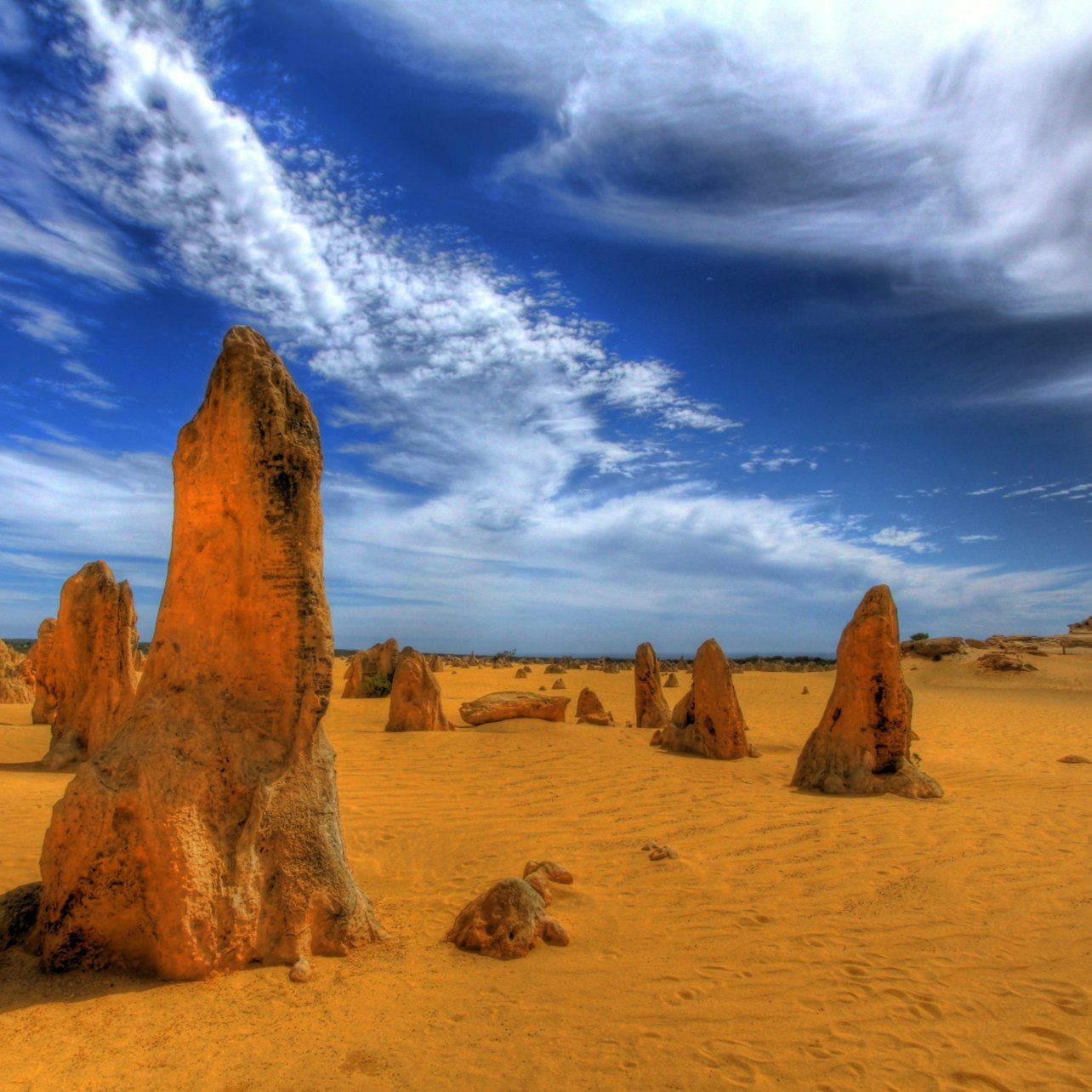 Pinnacles Desert & Caversham Wildlife Park: Tour + Sand Boarding + 4WD Adventure