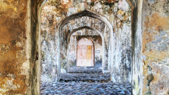 Veracruz & Mandinga Lake Highlights Tour