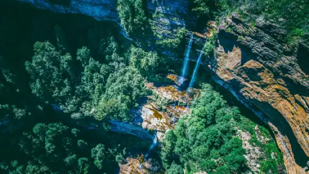 雪梨藍山國家公園+動物園一日遊