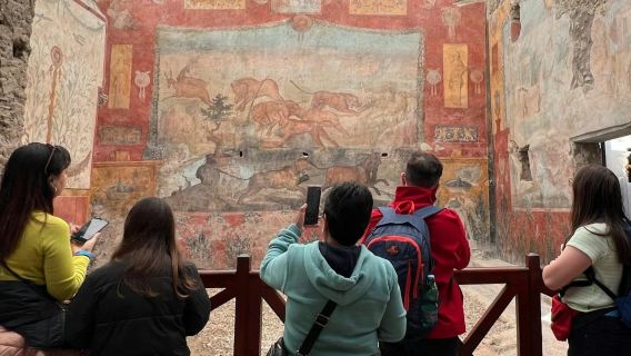 ポンペイ：ナポリ発の優先入場チケット＋ガイド付きツアー