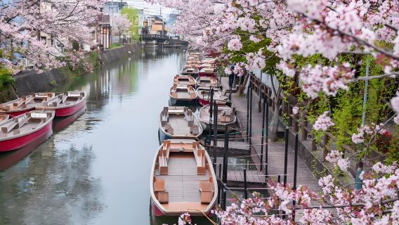 Eendaagse tour voor aardbeien plukken in Kyushu, boottocht op de Yanagawa-rivier, bezoek aan Koi no Ki Jinja en shopping bij Tosu Premium Outlets